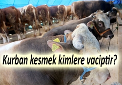 Kurban Kesmek Kimlere Vaciptir | Huzur Sayfası / İslami Bilgi Kaynağınız