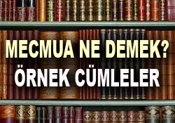 Cönk ve mecmua nedir?