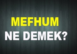 Mefhum ne demek örnek?