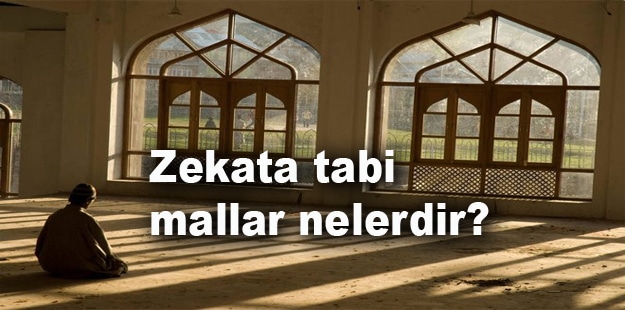 Hangi Mallar Zekata Tabidir Huzur Sayfasi