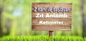 Z harfi ile başlayan zıt anlamlı kelimeler | Huzur Sayfası / İslami