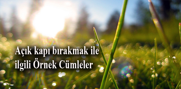 açık kapı bırakmak anlamı