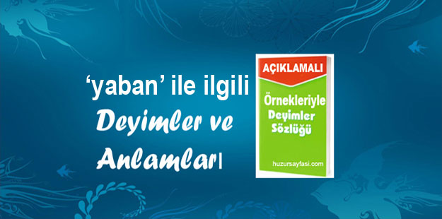 Yaban Ile Ilgili Deyimler Ve Anlamlari Huzur Sayfasi Islami Bilgi Kaynaginiz